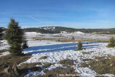 Snow in the Middle Atlas