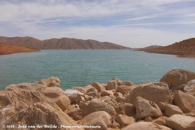 Barrage Al-Hassan Addakhil