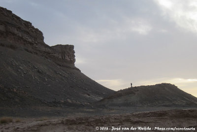 The lonesome birder