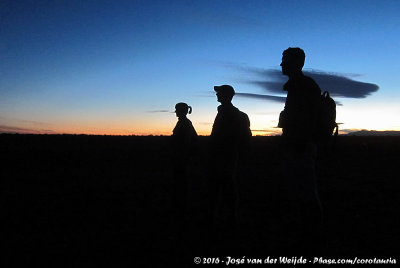 Birders at Sundown