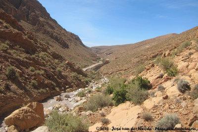 Dry river bed in the Atlas Mountains