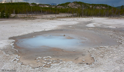 YellowStone