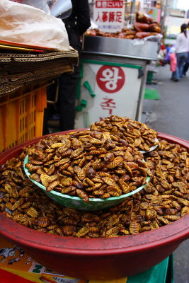 Korea: roasted silkworm pupae