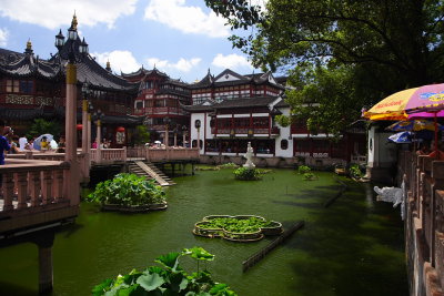 Shanghai garden