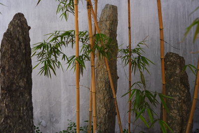 Shanghai: bamboo garden