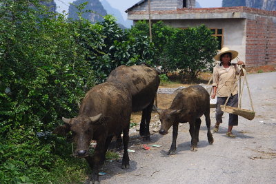 Yangshuo