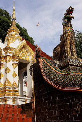 Changmai temple: entrance gardian