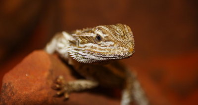 g9/53/636953/3/67464744.6AfReyae.jpg