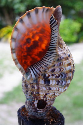 Fiji_026.jpg
