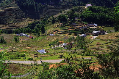 Sapa country side