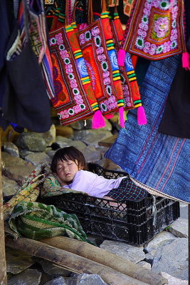 Sapa