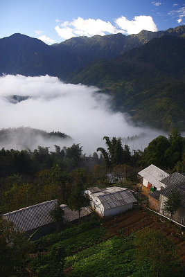 Sapa