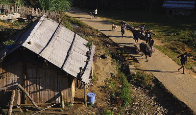 Sapa
