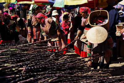 Sapa