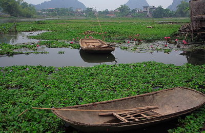 Tam Coc