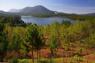 Dalat