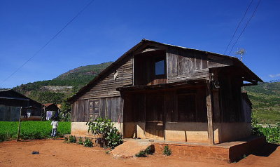 Chicken village