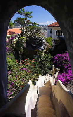 A view from crazy house