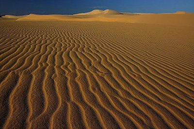 Sand dune