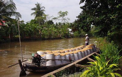 Mekong Delta