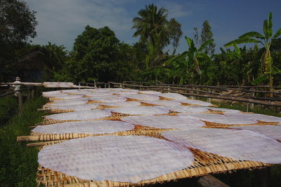 Mekong Delta drying rice paper