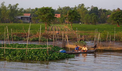 Mekong Delta: fish farming
