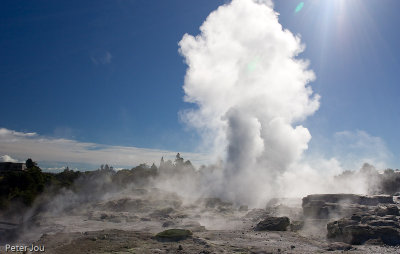 Rotorua geiser