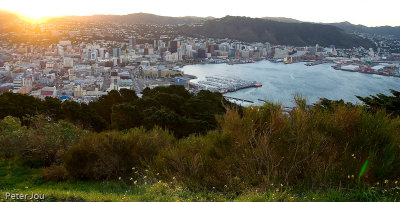 View of Wellington