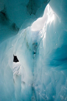 Fox Glacier