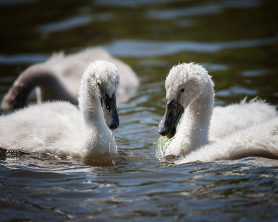 The Little Ones....Every day is a brand new experience