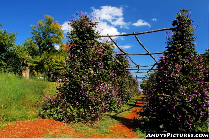 Monticello, VA