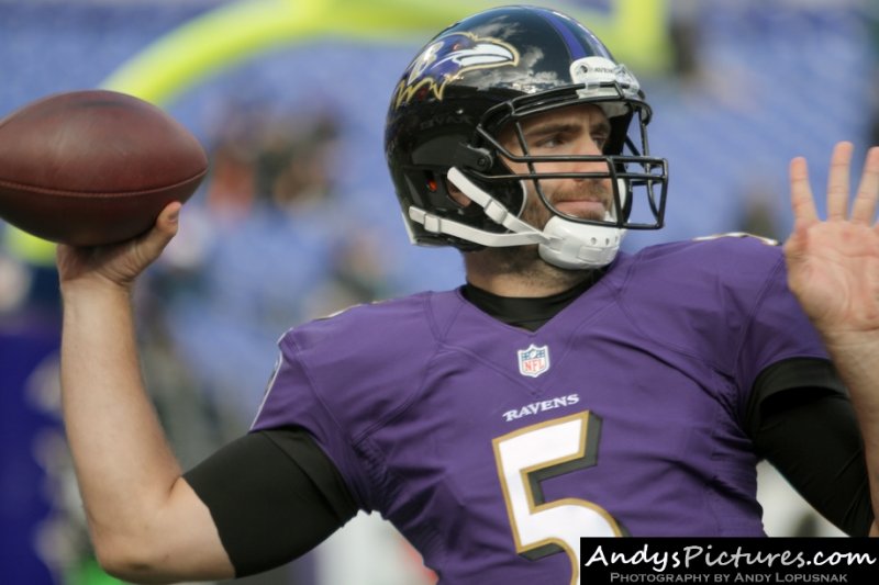 Baltimore Ravens QB Joe Flacco