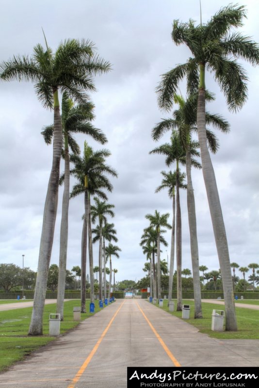 Sun Life Stadium - Miami Gardens, FL