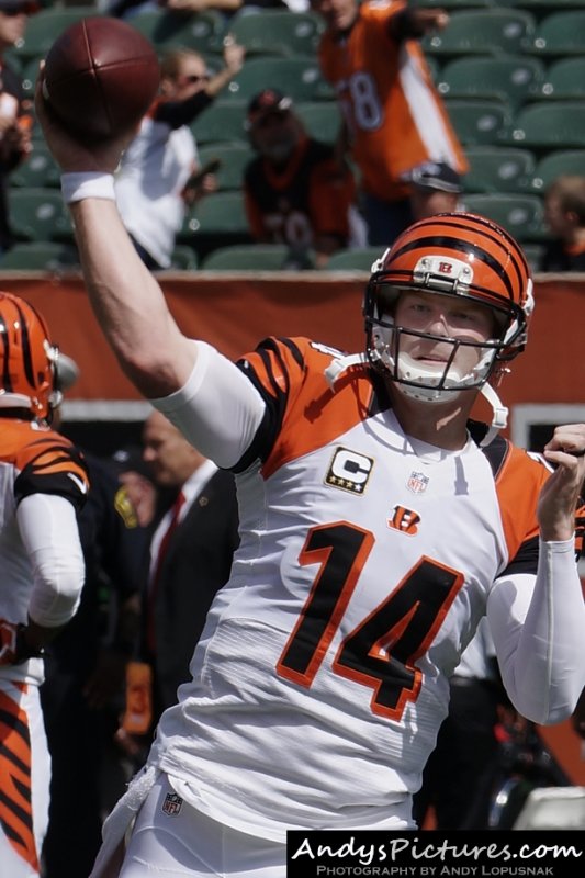 Cincinnati Bengals QB Andy Dalton