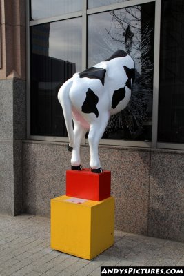 Cow sculpture in downtown Raleigh
