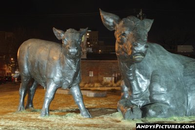 Giant Metal Cow Statues at Night