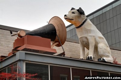 RCA Dog Sculpture