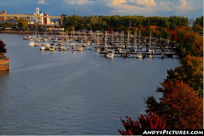 Buffalo marina and grain elevators