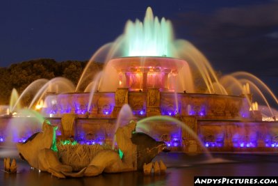 Buckingham Fountain at Night