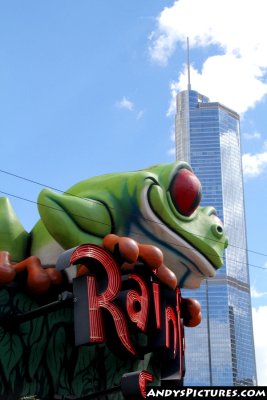 Rainforest Cafe & the Trump Tower Chicago