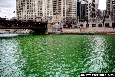 Chicago River with St. Patrick's Day green river