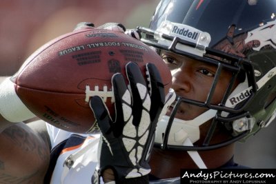 Denver Broncos WR Demaryius Thomas