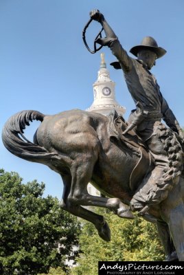 City & County Building & Bronco Buster statue