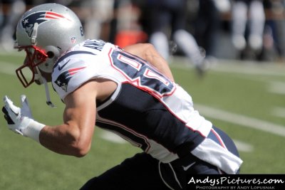 New England Patriots WR Danny Amendola