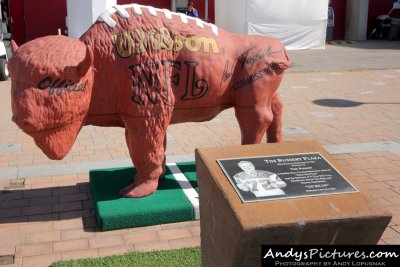 Football Buffalo at Ralph Wilson Stadium - Orchard Park, NY