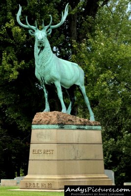 Elk sculpture