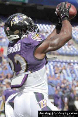 Baltimore Ravens strong safety James Ihedigbo