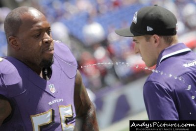 Baltimore Ravens LB Terrell Suggs