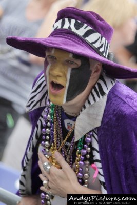 Baltimore Ravens fan