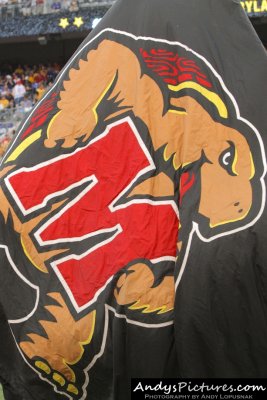 Maryland Terrapins flag